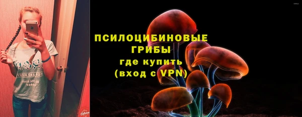 MDMA Premium VHQ Краснослободск